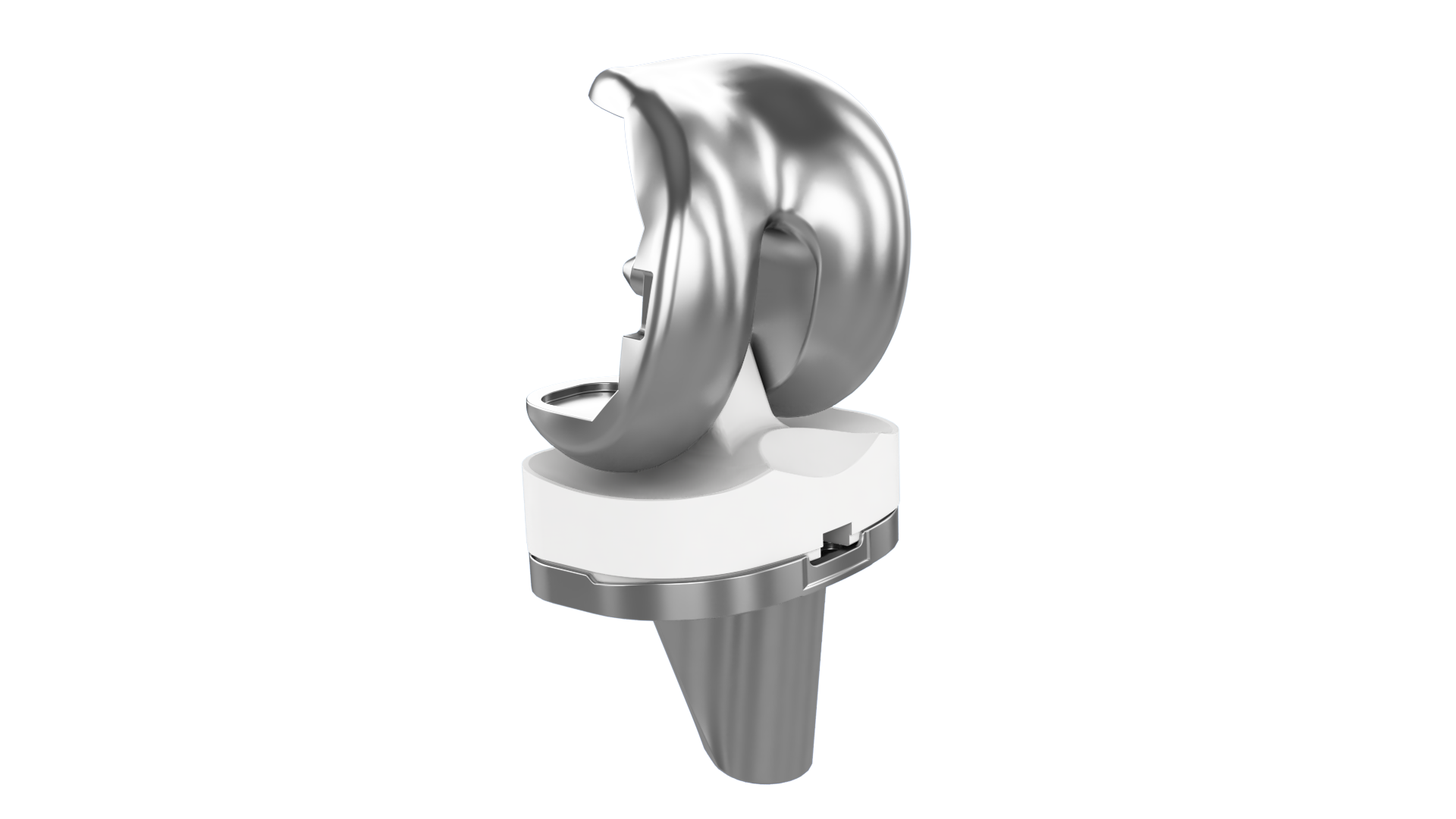 Prathmesh Knee Replacement System